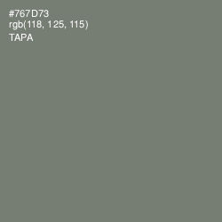 #767D73 - Tapa Color Image