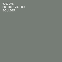 #767D76 - Boulder Color Image