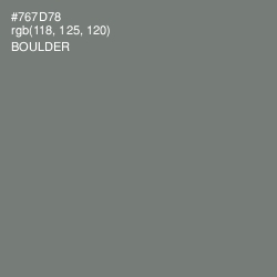 #767D78 - Boulder Color Image