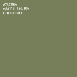 #767E5A - Crocodile Color Image