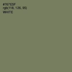 #767E5F - Crocodile Color Image