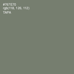 #767E70 - Tapa Color Image