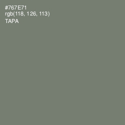 #767E71 - Tapa Color Image