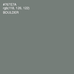 #767E7A - Boulder Color Image