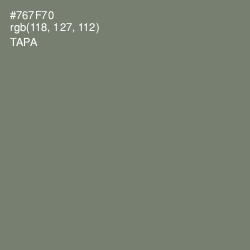 #767F70 - Tapa Color Image