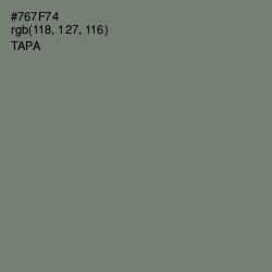 #767F74 - Tapa Color Image