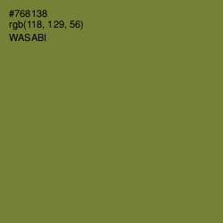 #768138 - Wasabi Color Image