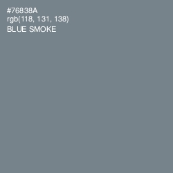 #76838A - Blue Smoke Color Image