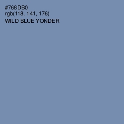 #768DB0 - Wild Blue Yonder Color Image