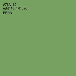 #76A160 - Fern Color Image