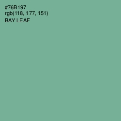 #76B197 - Bay Leaf Color Image