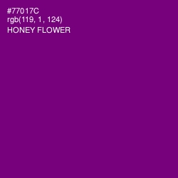 #77017C - Honey Flower Color Image