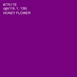 #77017E - Honey Flower Color Image