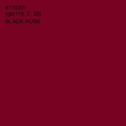 #770221 - Black Rose Color Image