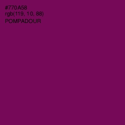 #770A58 - Pompadour Color Image