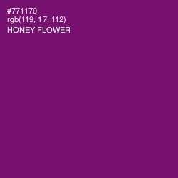 #771170 - Honey Flower Color Image