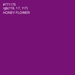 #771175 - Honey Flower Color Image