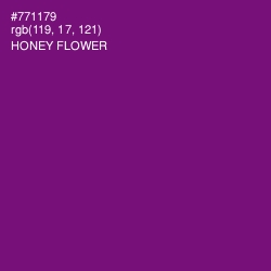 #771179 - Honey Flower Color Image