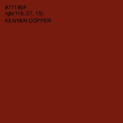 #771B0F - Kenyan Copper Color Image