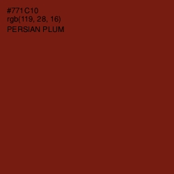 #771C10 - Persian Plum Color Image