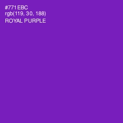 #771EBC - Royal Purple Color Image