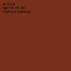 #77311A - Copper Canyon Color Image