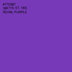 #7739B7 - Royal Purple Color Image