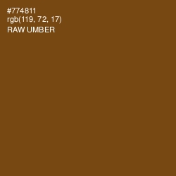 #774811 - Raw Umber Color Image