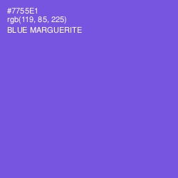 #7755E1 - Blue Marguerite Color Image