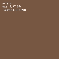 #775741 - Tobacco Brown Color Image