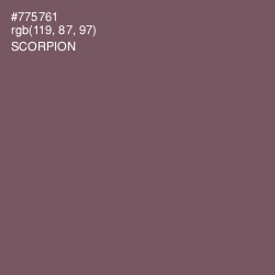 #775761 - Scorpion Color Image