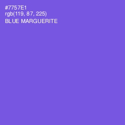 #7757E1 - Blue Marguerite Color Image