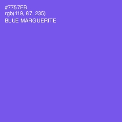 #7757EB - Blue Marguerite Color Image