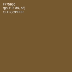 #775930 - Old Copper Color Image