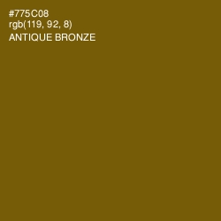 #775C08 - Antique Bronze Color Image