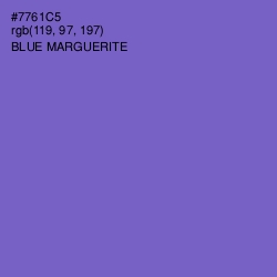 #7761C5 - Blue Marguerite Color Image