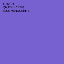 #7761D1 - Blue Marguerite Color Image