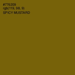 #776209 - Spicy Mustard Color Image