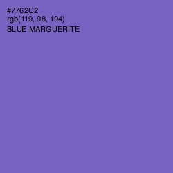 #7762C2 - Blue Marguerite Color Image