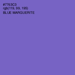 #7763C3 - Blue Marguerite Color Image