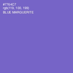 #7764C7 - Blue Marguerite Color Image