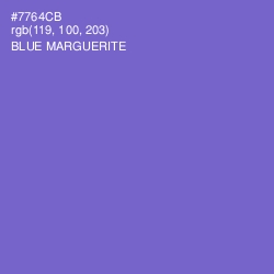 #7764CB - Blue Marguerite Color Image