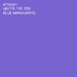 #7764D1 - Blue Marguerite Color Image