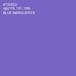 #7765C3 - Blue Marguerite Color Image