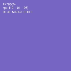 #7765C4 - Blue Marguerite Color Image