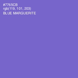 #7765CB - Blue Marguerite Color Image