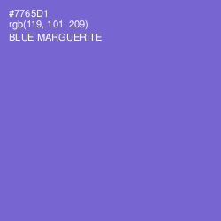 #7765D1 - Blue Marguerite Color Image