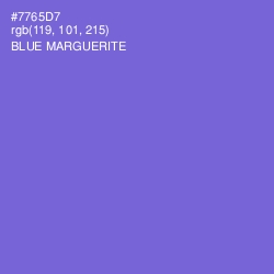 #7765D7 - Blue Marguerite Color Image