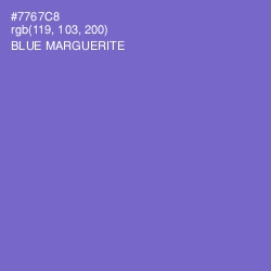 #7767C8 - Blue Marguerite Color Image