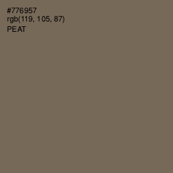 #776957 - Peat Color Image